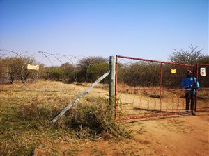 8.6 ha Farm in Winterveldt