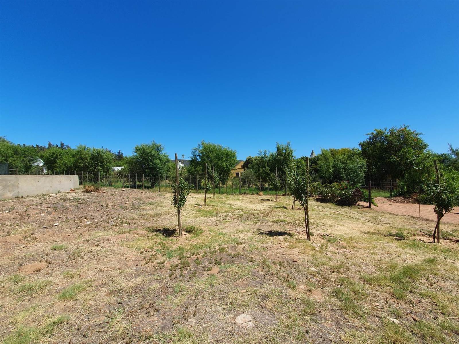 976 m² Land available in McGregor photo number 9