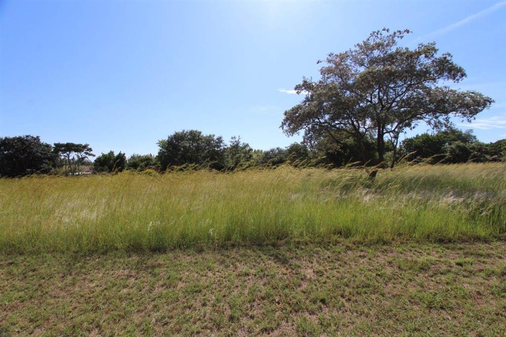 1200 m² Land available in Modimolle photo number 3