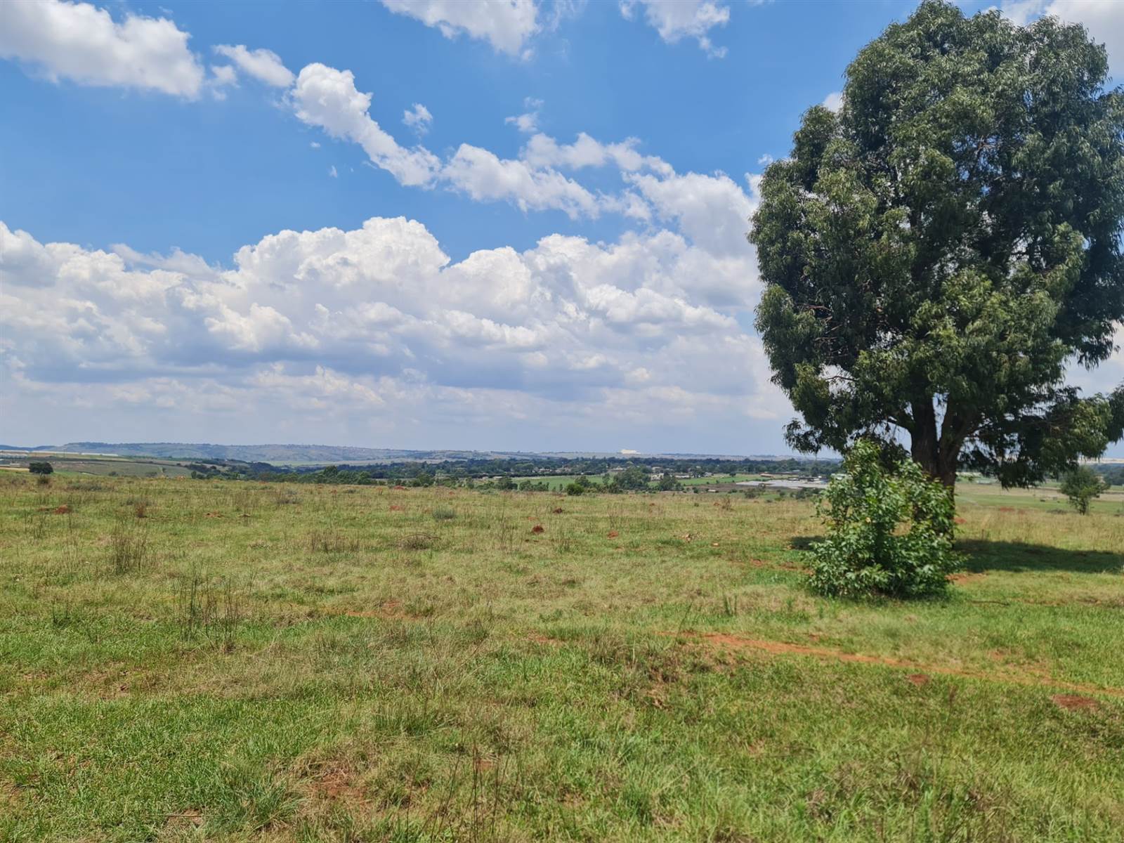33.3 ha Land available in Tarlton photo number 12