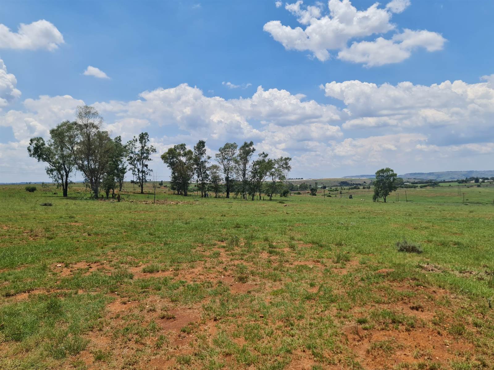 33.3 ha Land available in Tarlton photo number 8