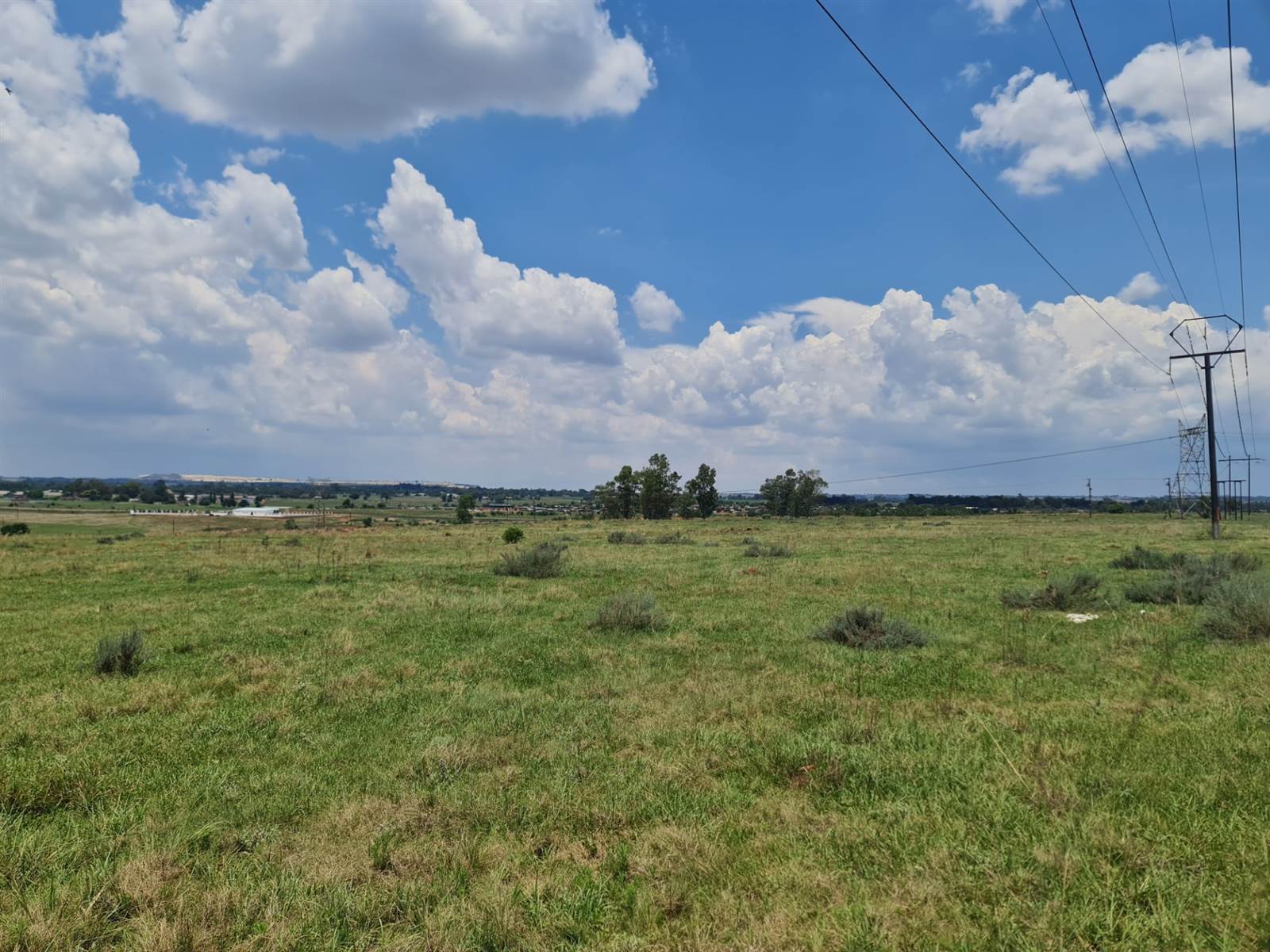 33.3 ha Land available in Tarlton photo number 10