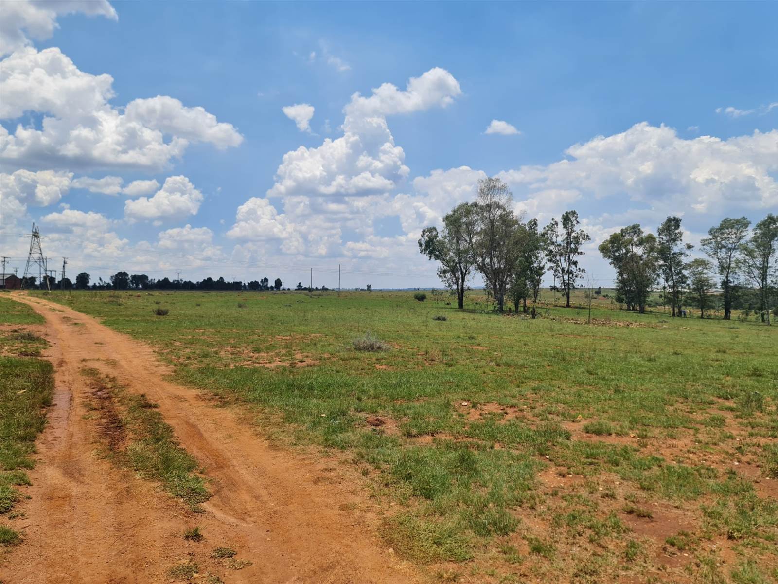 33.3 ha Land available in Tarlton photo number 9