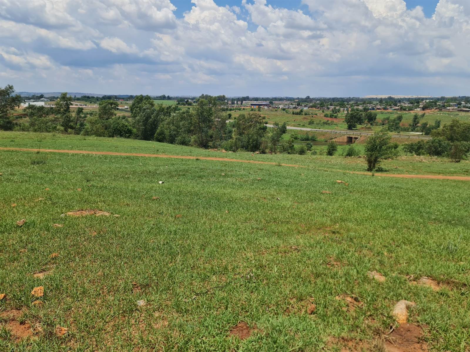 33.3 ha Land available in Tarlton photo number 6