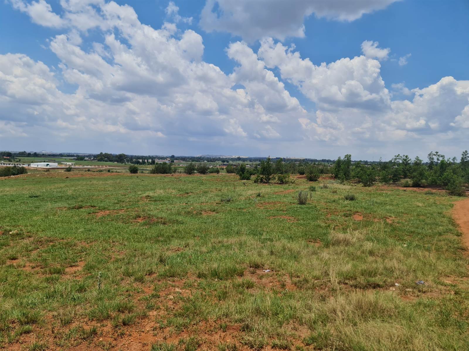 33.3 ha Land available in Tarlton photo number 7