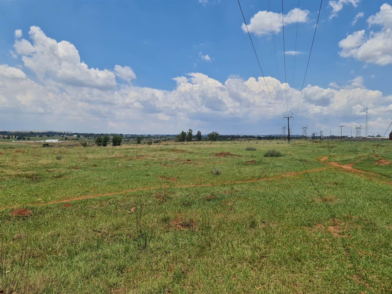 33.3 ha Land available in Tarlton photo number 13