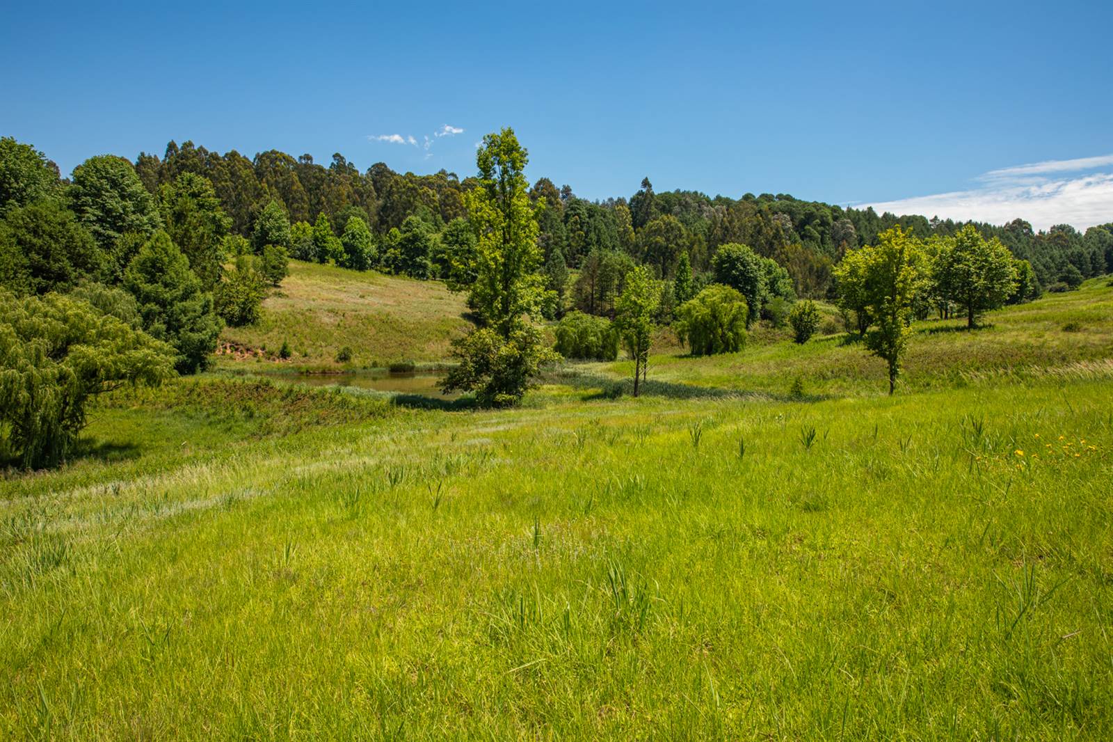3000 m² Land available in Underberg photo number 14