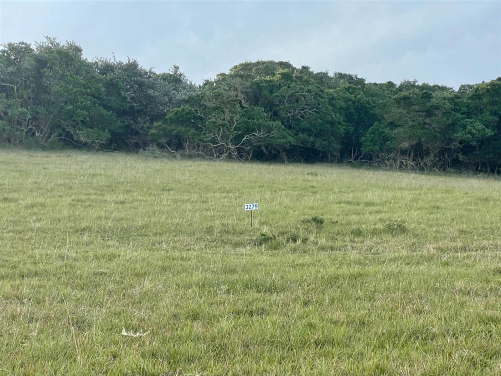 849 m² Land available in Kenton-on-Sea photo number 12