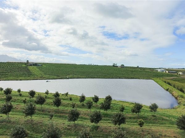61.4 ha Farm