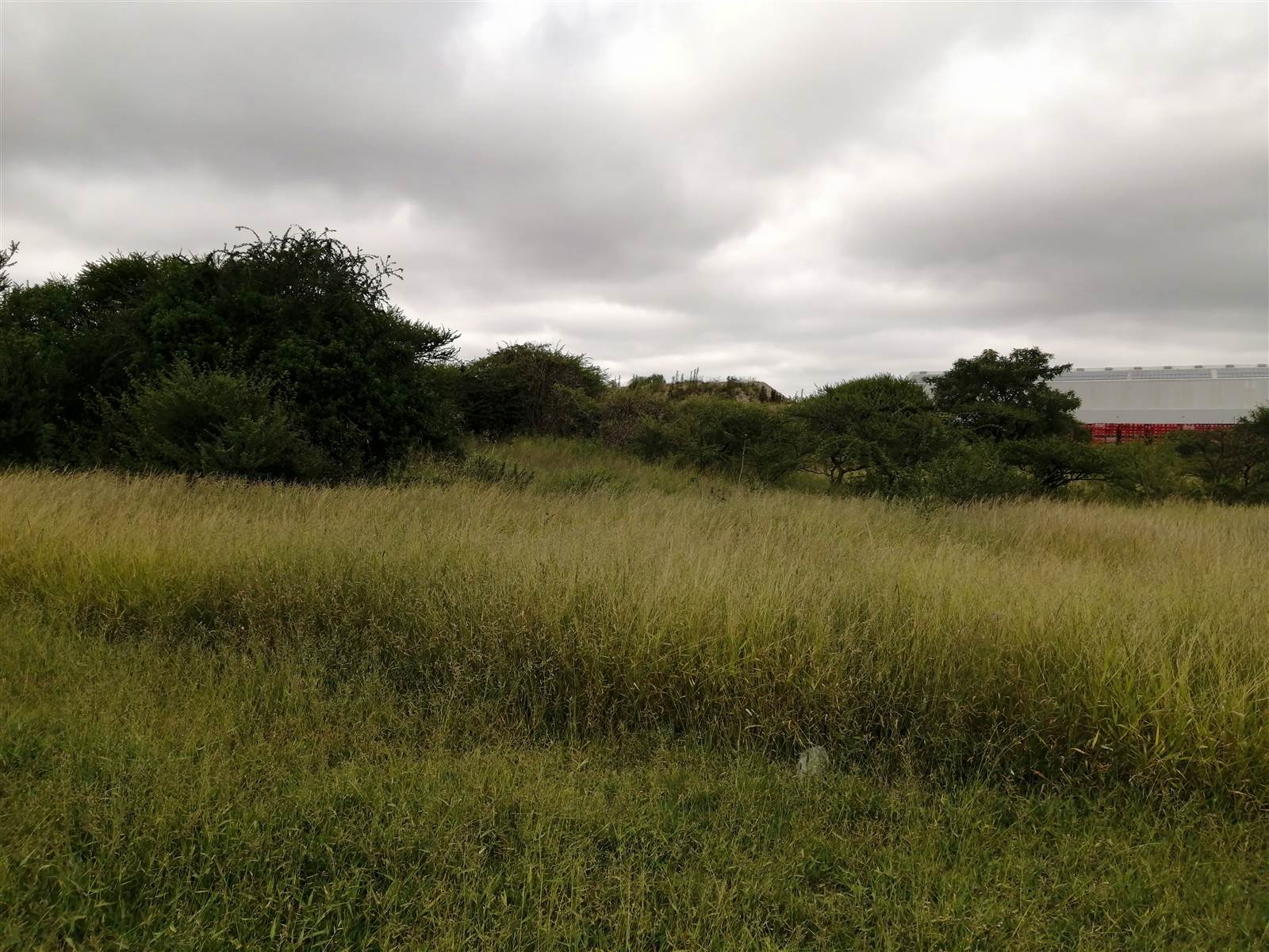 6473 m² Land available in Polokwane Central photo number 4