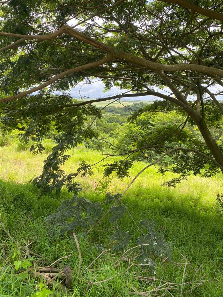 1443 m² Land available in Mtunzini photo number 10
