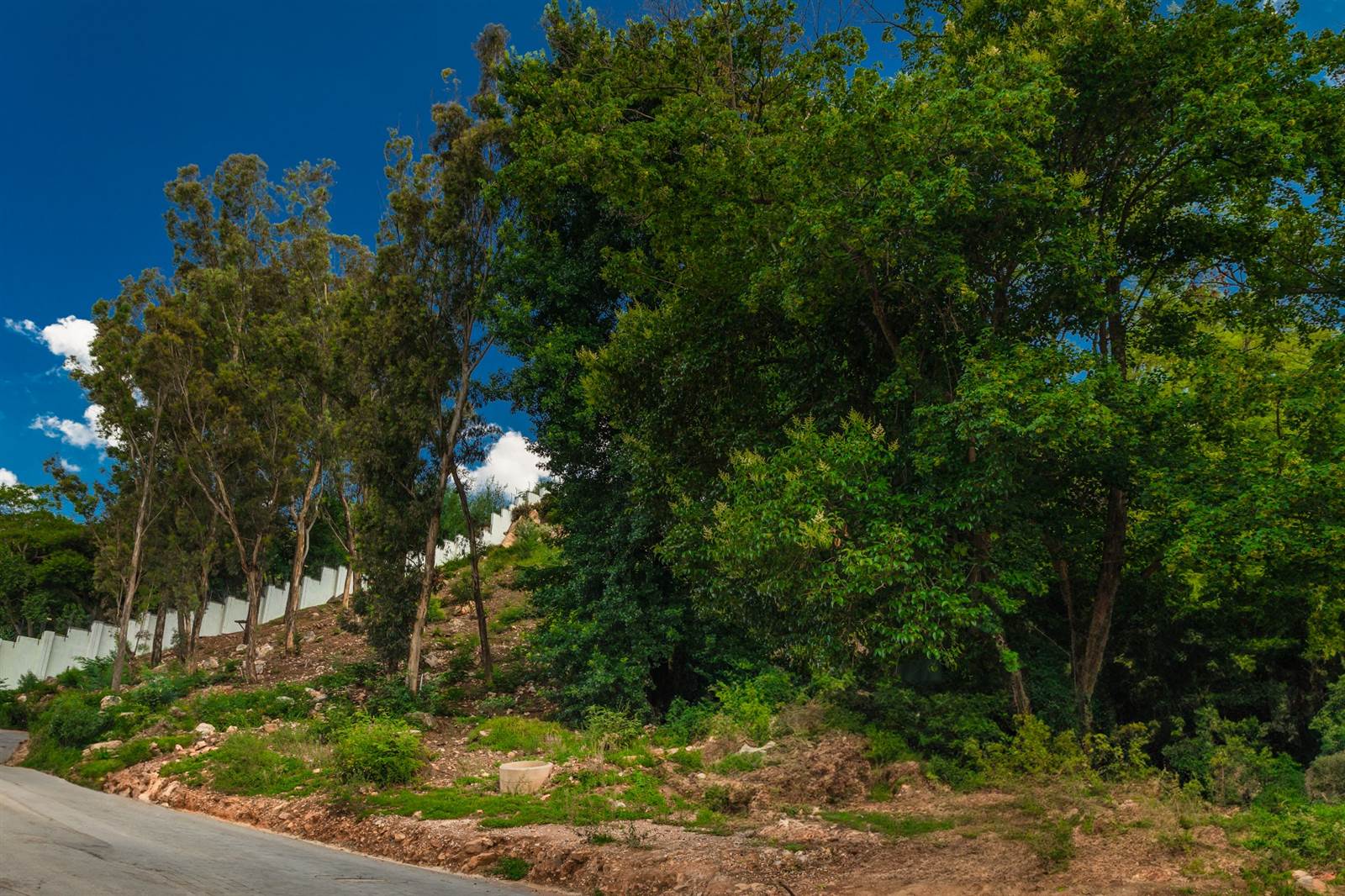 1087 m² Land available in Northcliff photo number 3