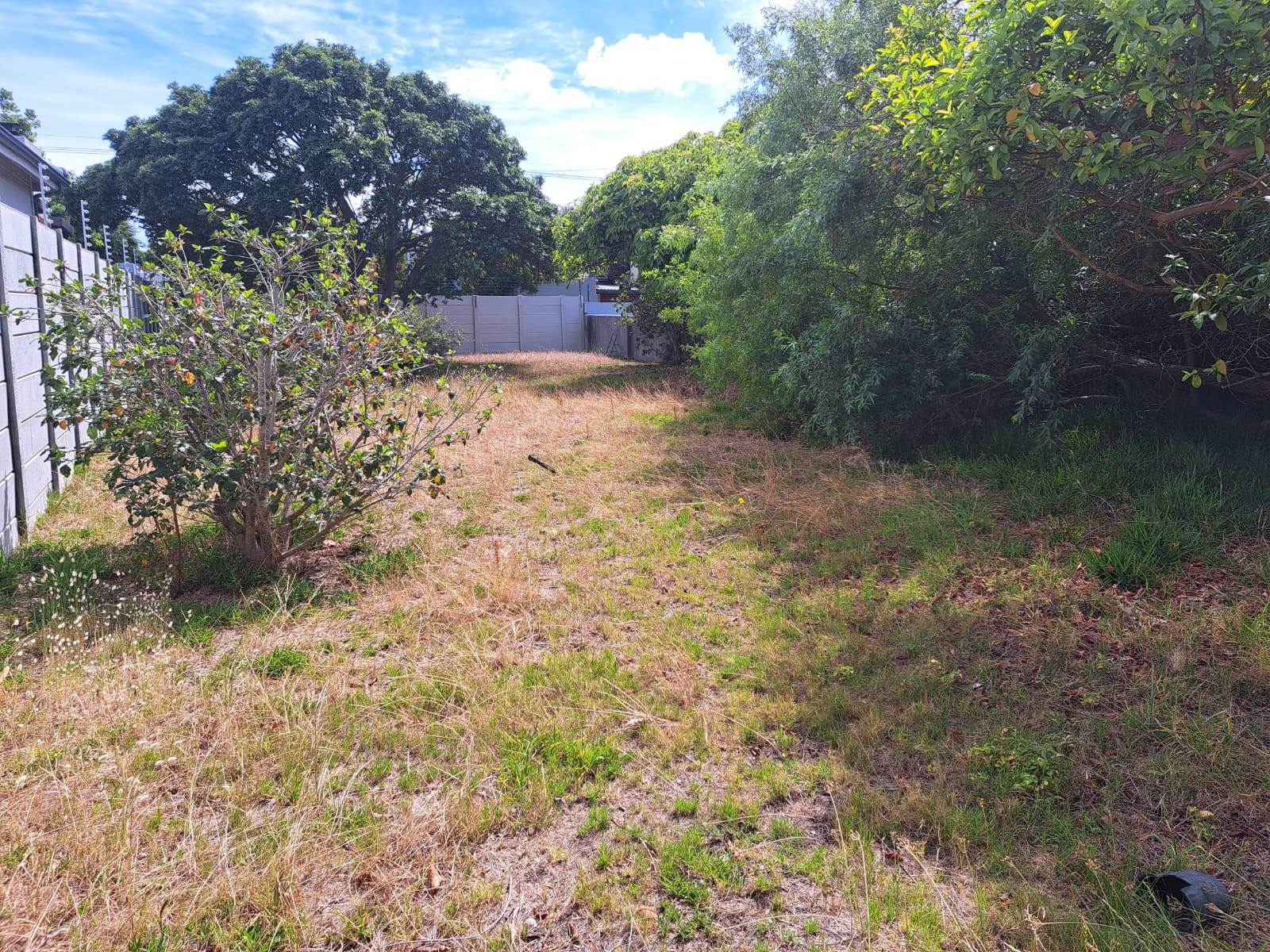 423 m² Land available in Claremont photo number 3