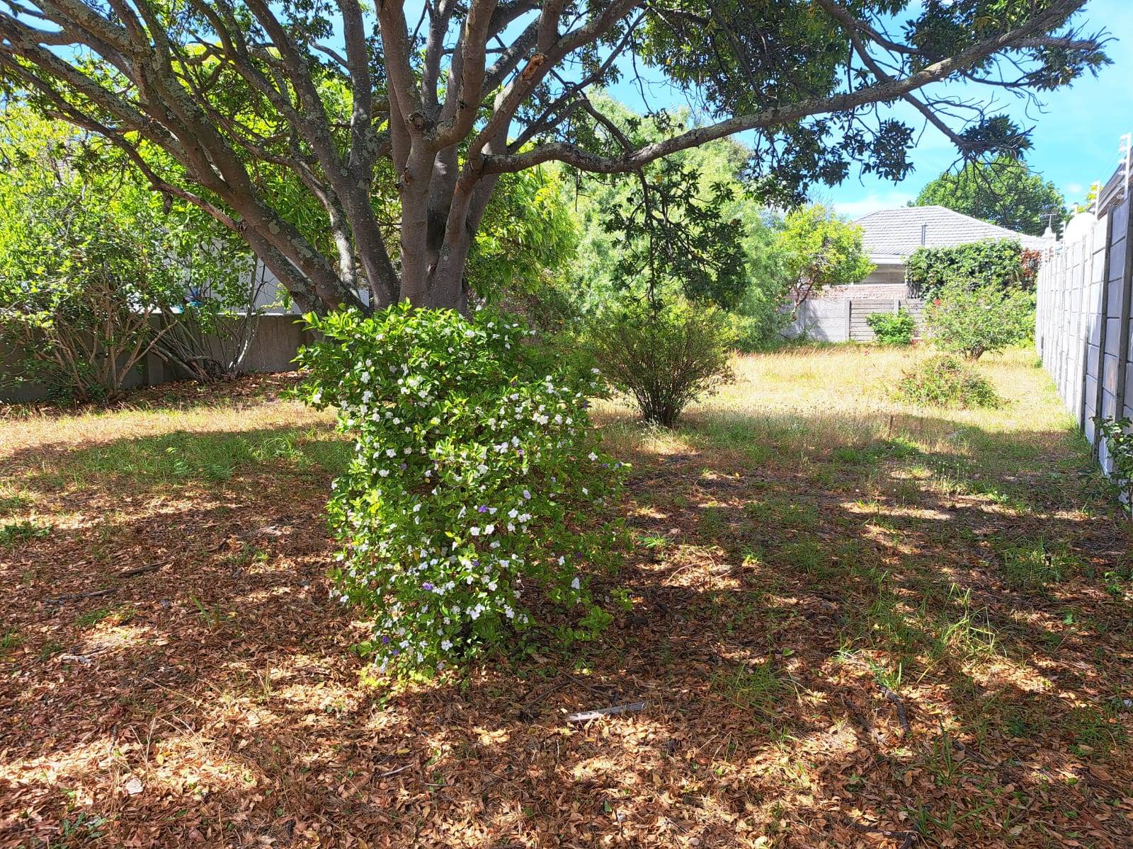 423 m² Land available in Claremont photo number 1