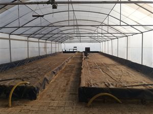 2.1 ha Farm in Buyscelia