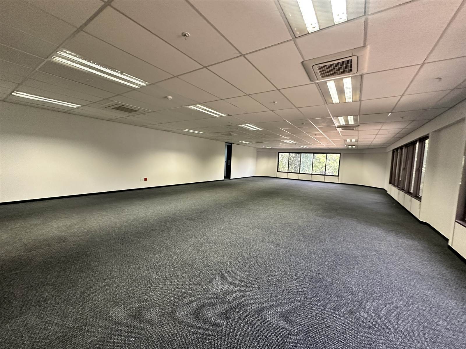 336  m² Commercial space in Parktown photo number 3