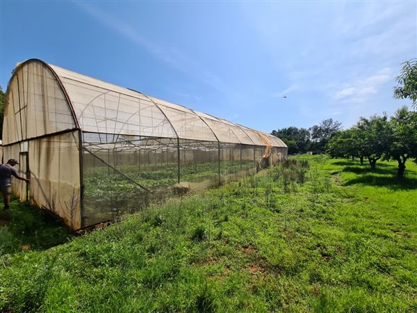 128 ha Farm