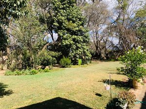 8 ha Farm in Kameeldrift West