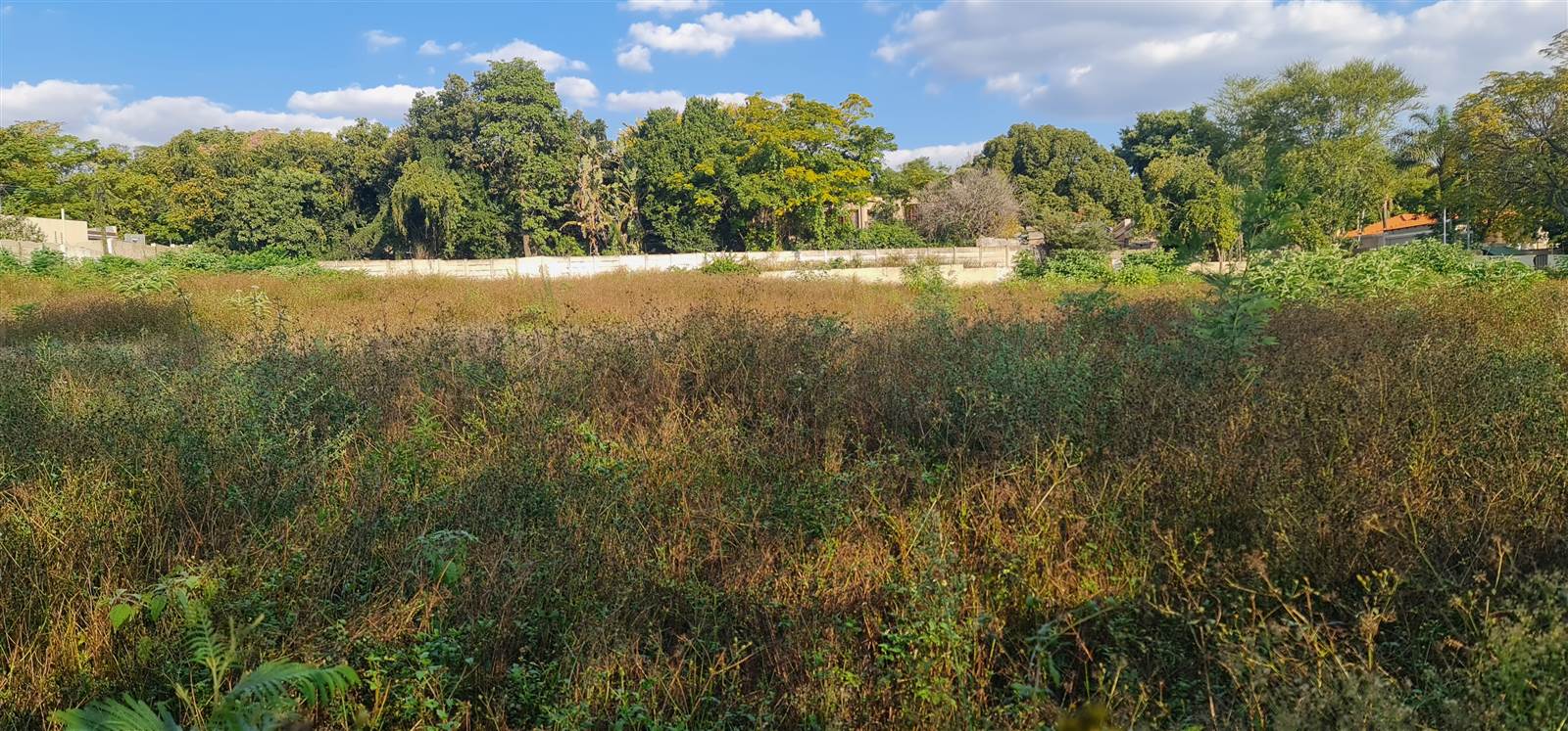 4817 m² Land available in Bryanston photo number 3
