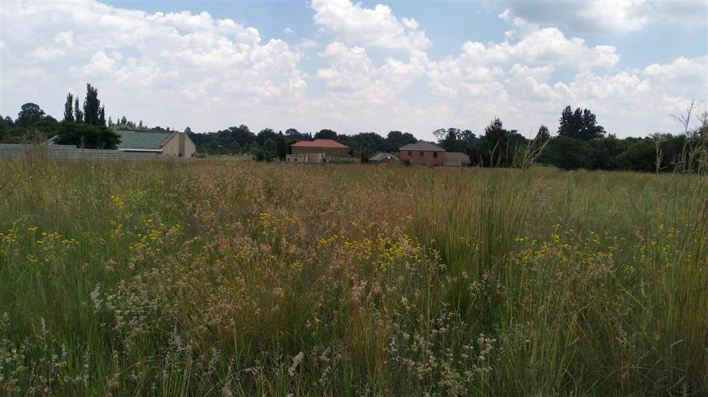 4047 m² Land available in Henley on Klip photo number 6