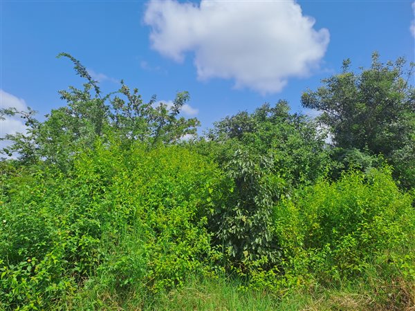 1 158 m² Land 1 158 m² Land
