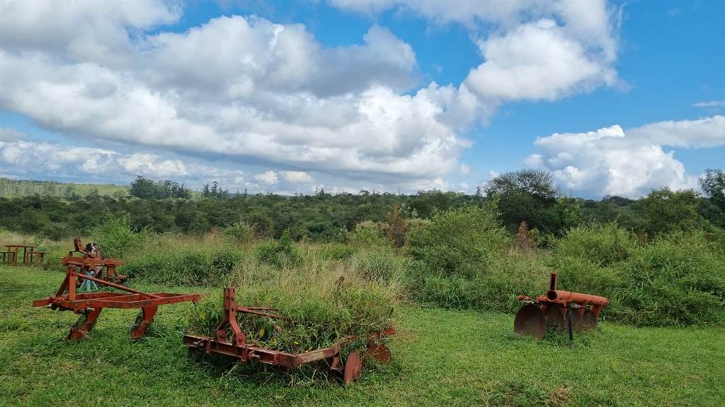 59.7 ha Land available in Louis Trichardt photo number 25