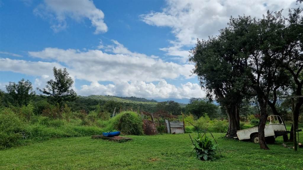 59.7 ha Land available in Louis Trichardt photo number 14
