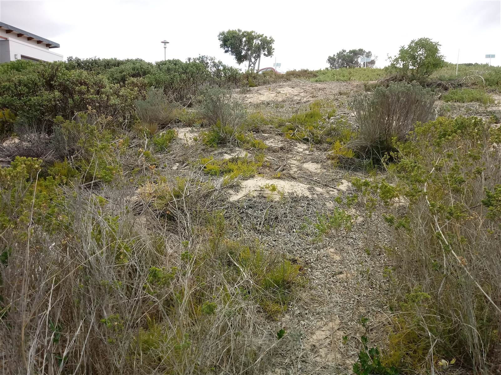 637 m² Land available in Stilbaai photo number 7