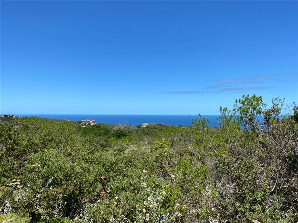 4000 m² Land available in Pezula Private Estate