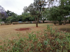 1.5 ha Farm in Zesfontein AH