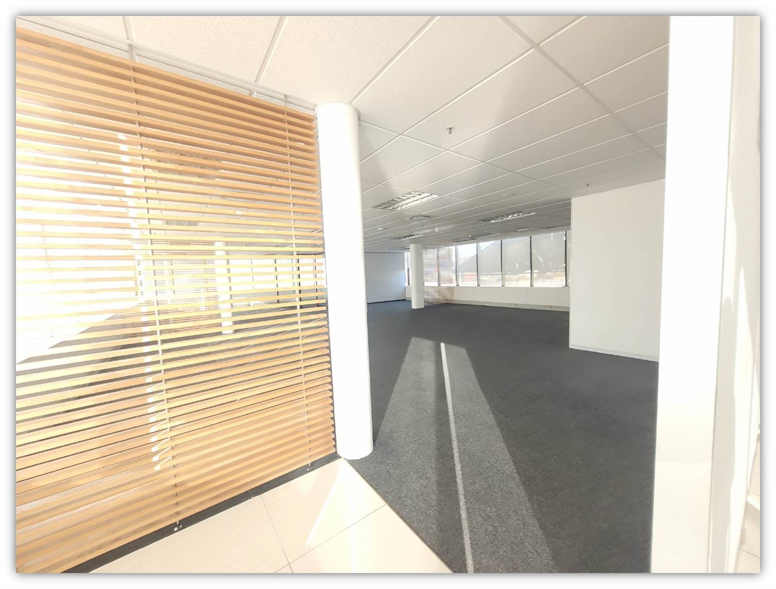 260  m² Office Space in Paarden Eiland photo number 4