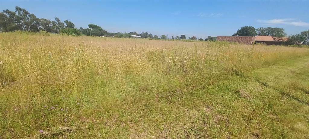 994 m² Land available in Kookrus photo number 5