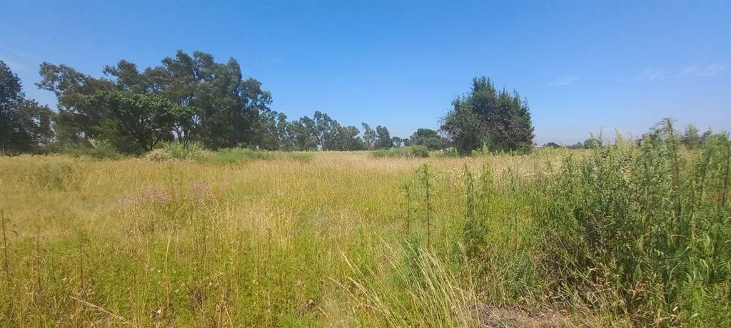 994 m² Land available in Kookrus photo number 6