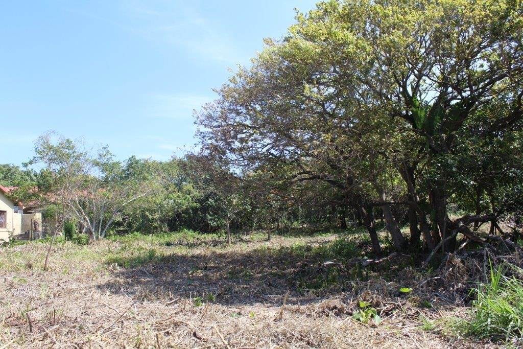 2023 m² Land available in Port Edward photo number 9
