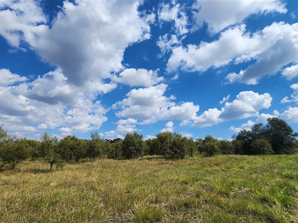 1 ha Land available in Gerhardsville