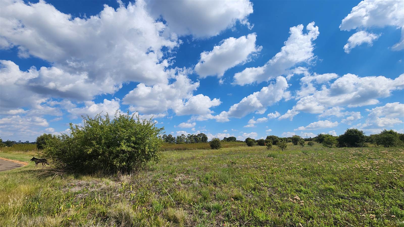 1 ha Land available in Gerhardsville photo number 6