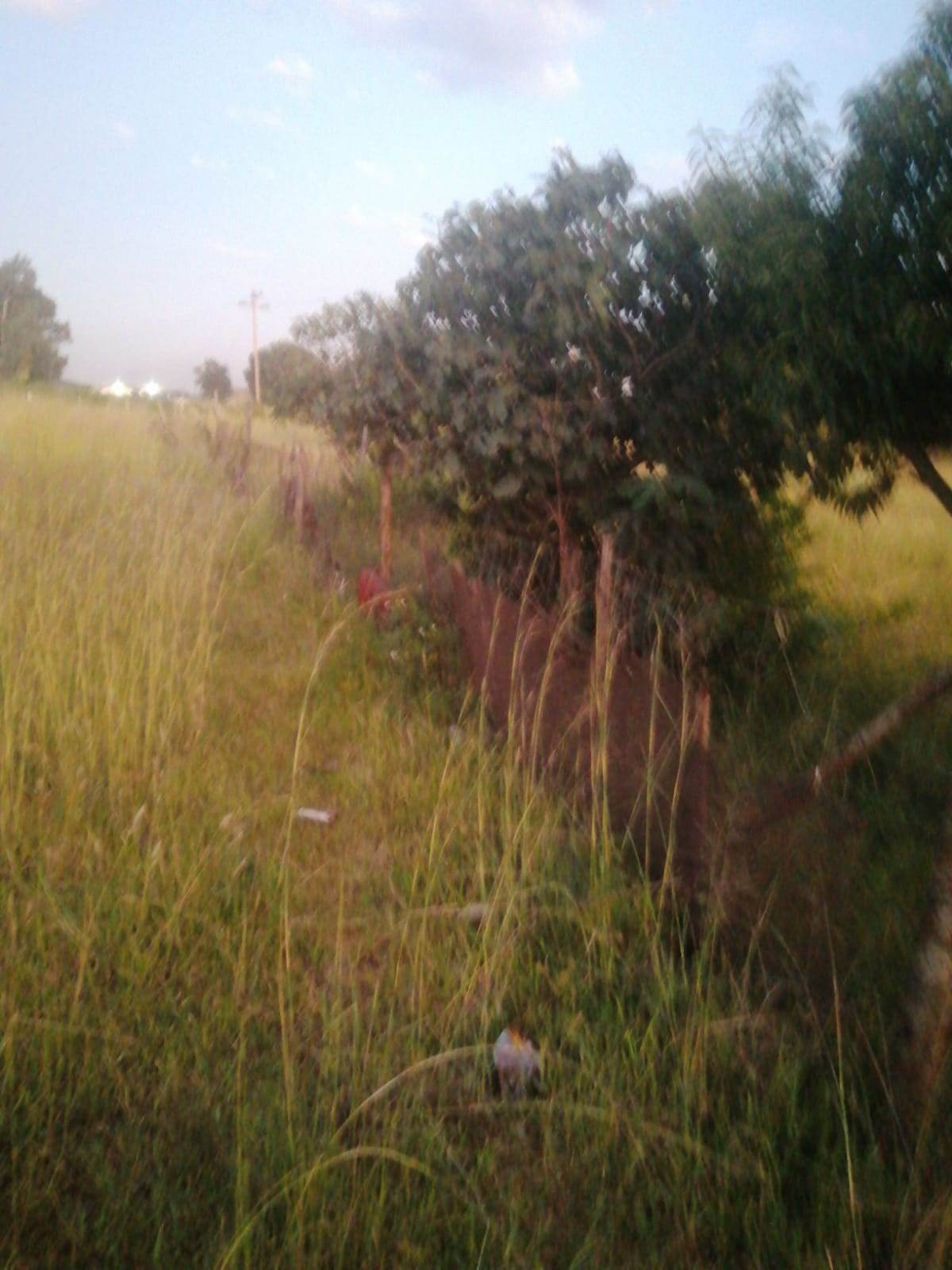 4 ha Farm in Witbank Central photo number 9