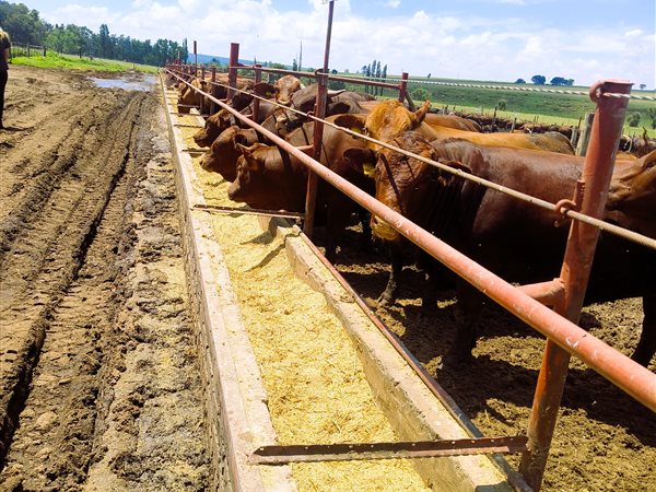 8.4 ha Farm 8.4 ha Farm
