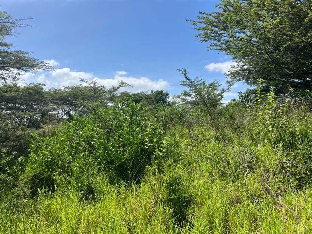 1531 m² Land available in Mtunzini photo number 10