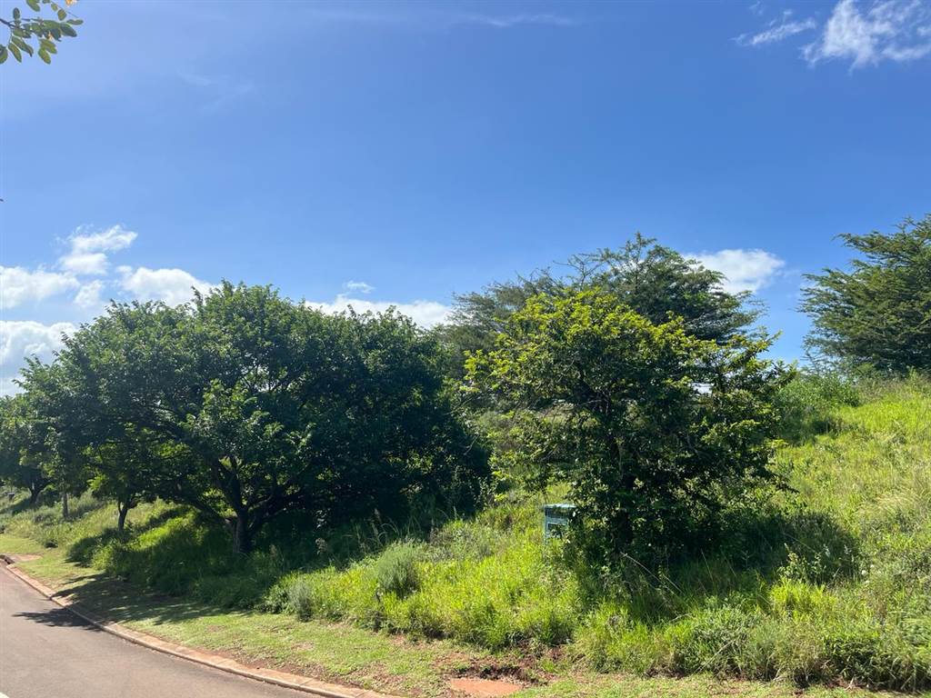 1531 m² Land available in Mtunzini photo number 8