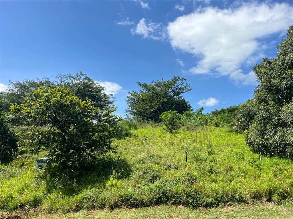 1531 m² Land available in Mtunzini photo number 5