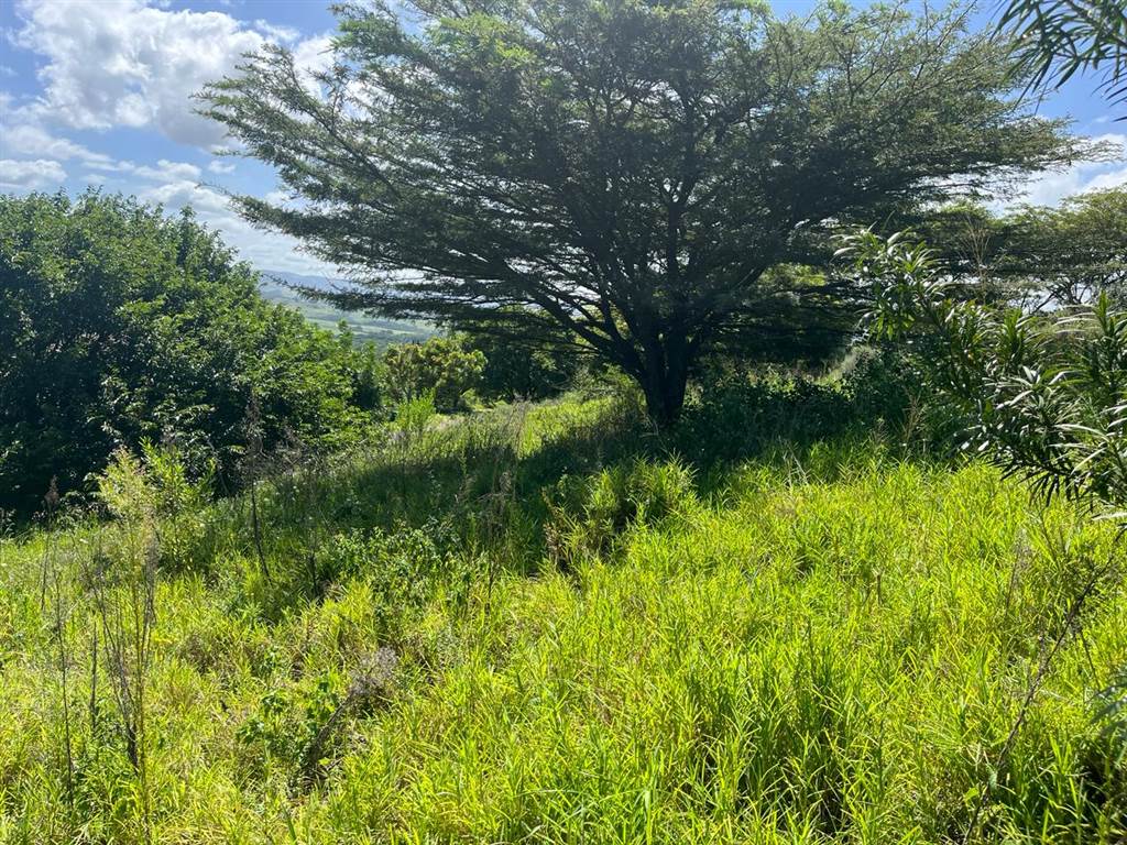 1531 m² Land available in Mtunzini photo number 2