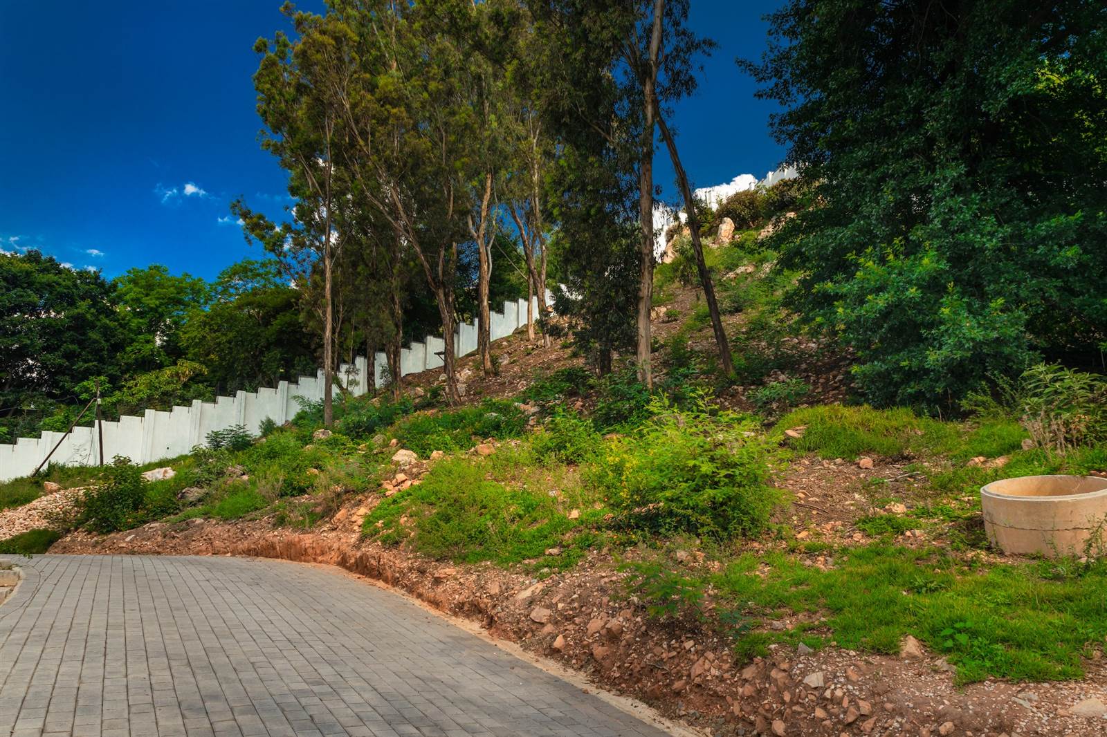 1509 m² Land available in Northcliff photo number 5