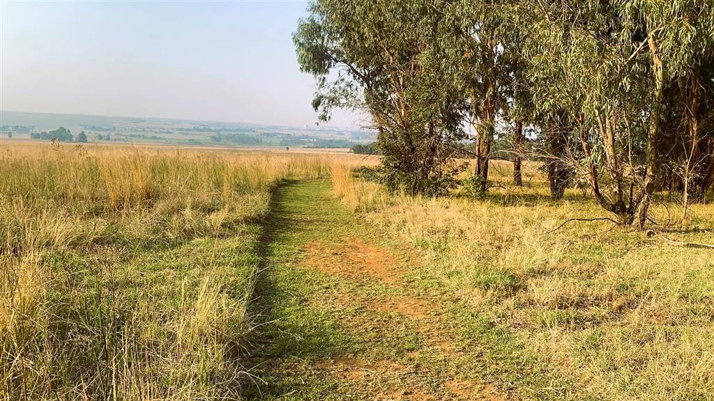 226 ha Land available in Middelburg South photo number 4