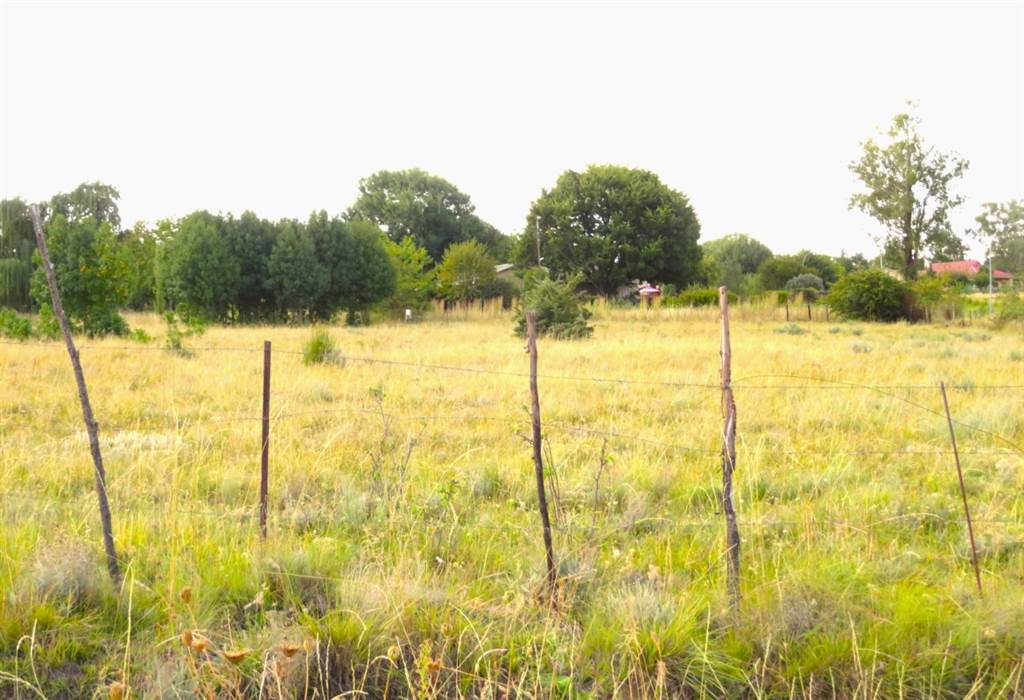1718 m² Land available in Fouriesburg photo number 1