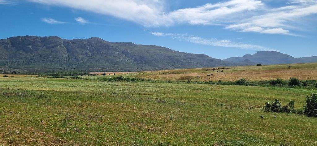 177 ha Farm in Tulbagh photo number 3