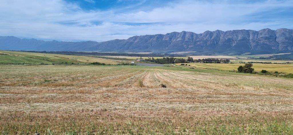 177 ha Farm in Tulbagh photo number 2