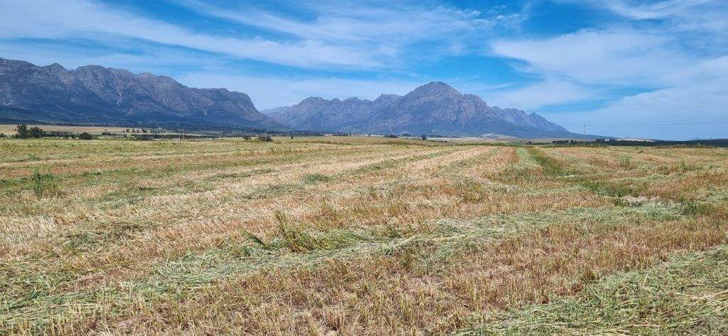177 ha Farm in Tulbagh photo number 1