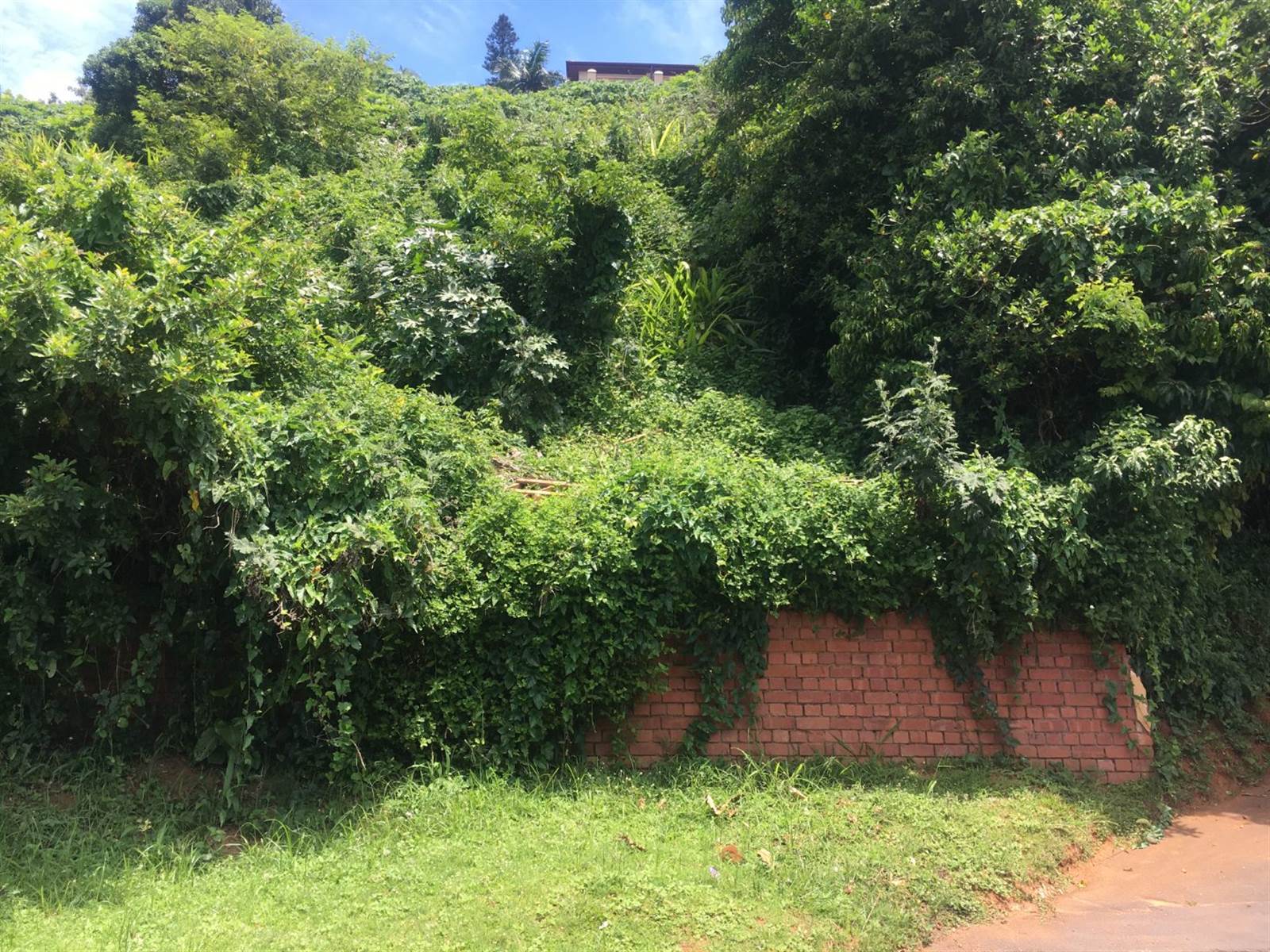 1022 m² Land available in Ballito photo number 3