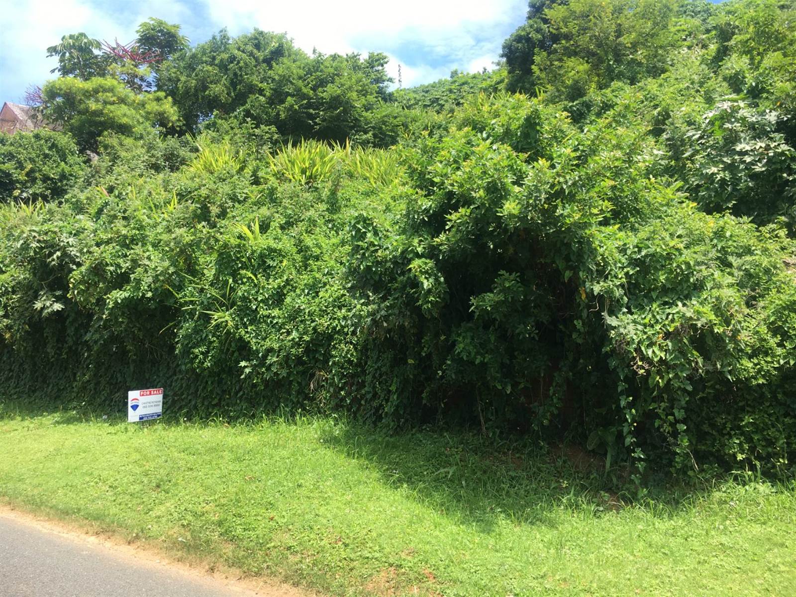 1022 m² Land available in Ballito photo number 5